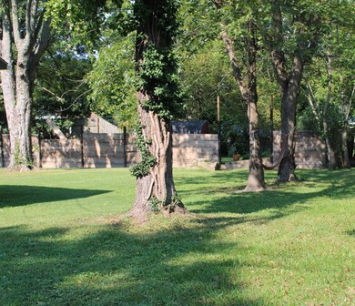 509 S Elm St, Mountain Grove, MO 65711 - photo 3