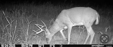 370 Tavern Creek Rd, Iberia, MO 65486 - photo 4