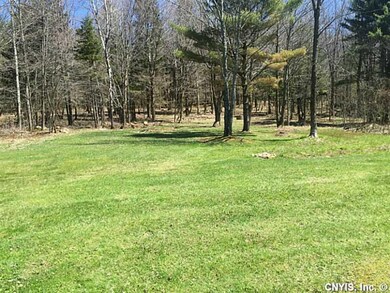 Backyard.