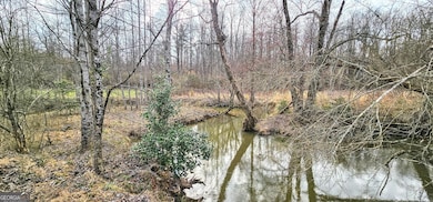 0 Gladston Rd, Mt.Airy, GA 30563 - photo 6