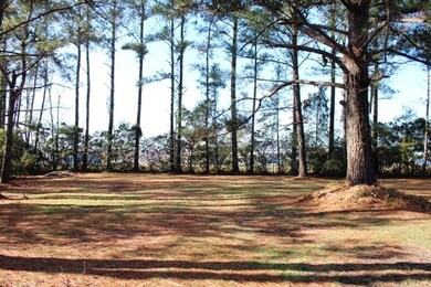 216 Harvard Cir, Jacksonville, NC 28546 - photo 2