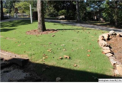 New sod in the yard