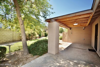 Back Patio