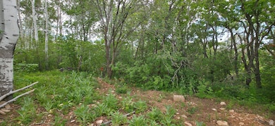 Inside lot open driveway