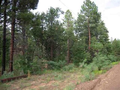 6214 Juniper Ridge, Show Low, AZ 85901 - photo 4