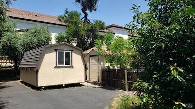 Shed built behind parking lot of 1241 Grove.