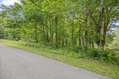 28-web-or-mls-413A5375