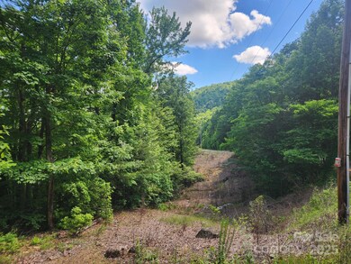 00 Hickory Nut Ln unit 390, Lake Lure, NC 28746 - photo 5