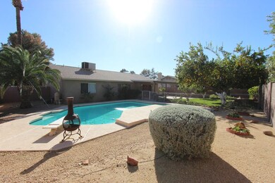 Pool Back