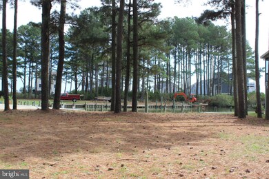 906 Broadside Dr, Greenbackville, VA 23356 - photo 3