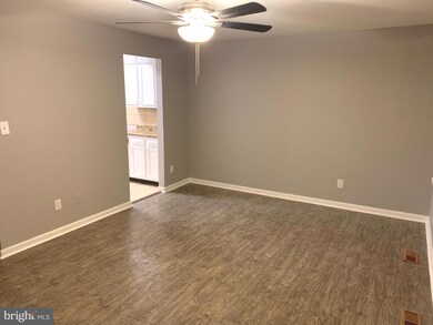 4323 Dana St, Baltimore, MD 21229 - photo 7