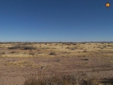 0 Dr Unit 111 Bk 2 T 18-27 unit 20180432, Deming, NM 88030 - photo 6