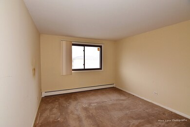1220 S Lorraine Rd unit 3F, Wheaton, IL 60189 - photo 4