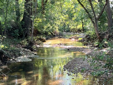 4811 Hwy Mm, Mountain Grove, MO 65711 - photo 7