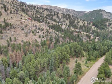 0 Miller Fork Rd unit 1047651, Glen Haven, CO 80532 - photo 7
