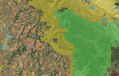 TBDWP Secret Canyon, Dove Creek, CO 81324 - photo 5