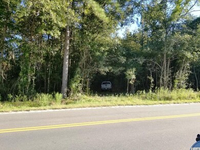 TBD1 State Highway 548, Conway, SC 29527 - photo 4