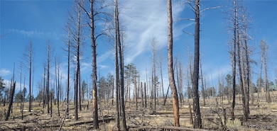 Lot 585 Leslie Loop unit 585, Fort Garland, CO 81133 - photo 4