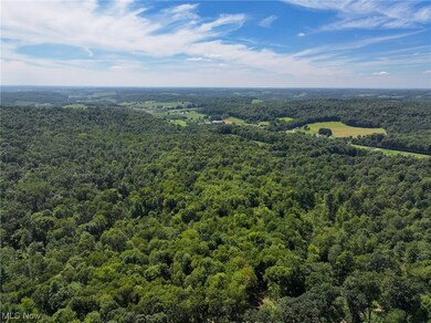 0 Co Road 3364 unit 4486126, Loudonville, OH 44842 - photo 3