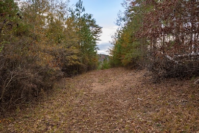 85 County Road 3217, Haleyville, AL 35565 - photo 5