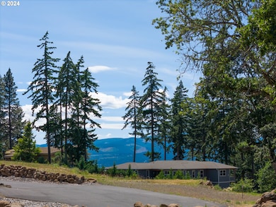 0 Painted Sky Ln unit 3 24266386, White Salmon, WA 98672 - photo 5