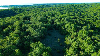 Tbd Sandy Rd, Cross Timbers Township, MO 65326 - photo 5