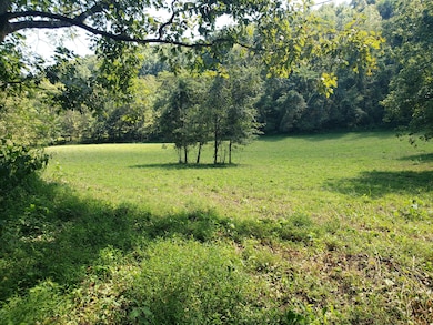 0 St John Hollow Rd unit RTC2981969, Woodbury, TN 37190 - photo 6