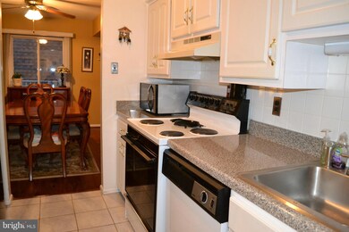 3850 Manzanita Place unit E, Alexandria, VA 22309 - photo 7