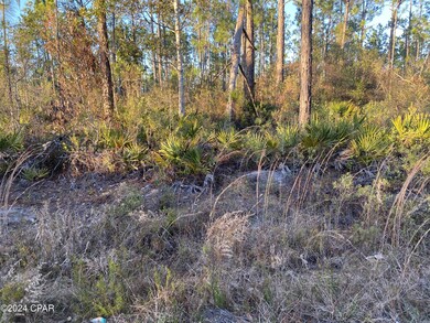 0 Barnes Rd unit 751317, Fountain, FL 32438 - photo 2