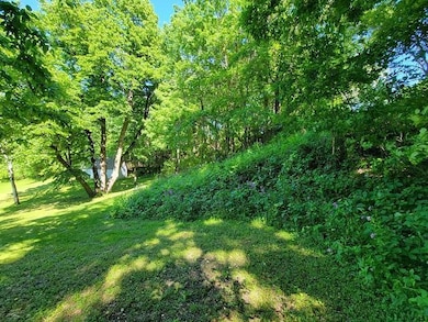 XXX W Church St, Belle Plaine, MN 56011 - photo 5