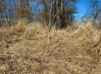 19146 320th St, Sebeka, MN 56477 - photo 4