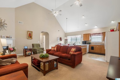 423 Camden Cove Cir, Calera, AL 35040 - photo 4