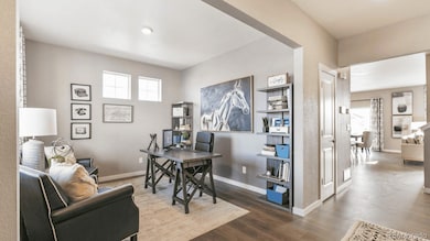 810 N Clubview St, Watkins, CO 80137 - photo 4