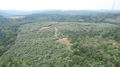 0 Keiser Rd unit 2 24419052, Penn Township, PA 16833 - photo 3