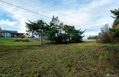 11 Discovery View Dr, Sequim, WA 98382 - photo 4