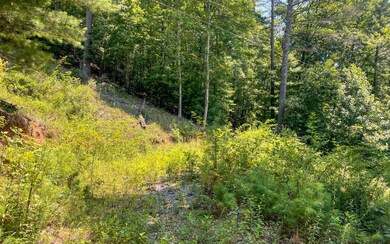 Additional View