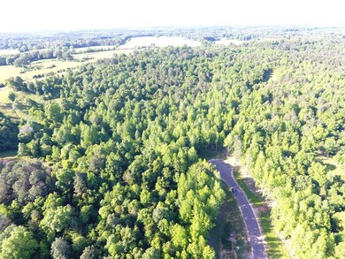 200 Philippians Rd, Oxford, MS 38655 - photo 4