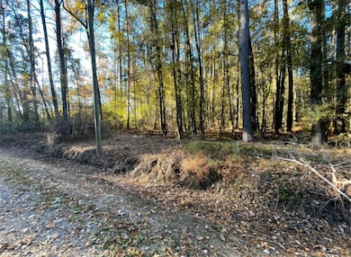 0 Digit Rd unit 25030748, Summerville, SC 29483 - photo 5