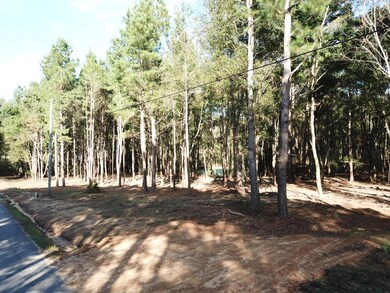 001 Cactus Dr, Laurel, MS 39443 - photo 5