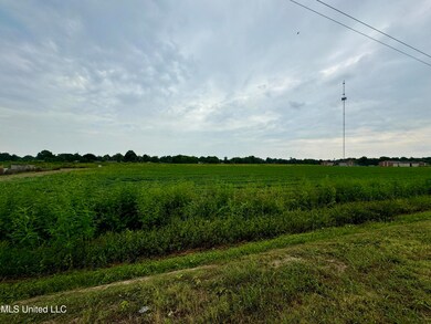 IMG_5181~photo-full