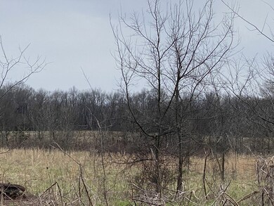 0 Unionville Deason Rd unit RTC2366203, Bell Buckle, TN 37020 - photo 4