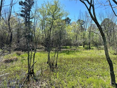 001 Muse Rd, Muse, OK 74949 - photo 5