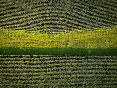 N 525th Rd, Colchester, IL 62326 - photo 6