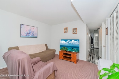 20 Michael Ct, Staten Island, NY 10308 - photo 2