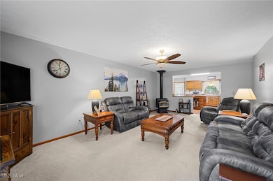 40725 Biggs Rd, Lagrange, OH 44050 - photo 4