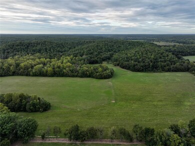 0 County Road 432, Epps Township, MO 63901 - photo 2