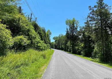 0 Flats Rd unit 202121204, Athens, NY 12015 - photo 6