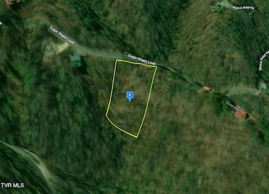 3518 Sugar Maple Loop Rd, Sevierville, TN 37862 - photo 2