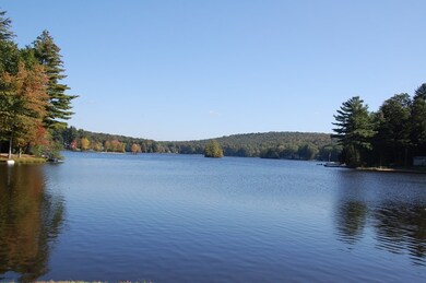 00 Red Cedar Rd, Woodstock Valley, CT 06282 - photo 2