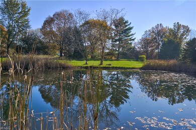 8334 Harris Rd, Lodi, OH 44254 - photo 6